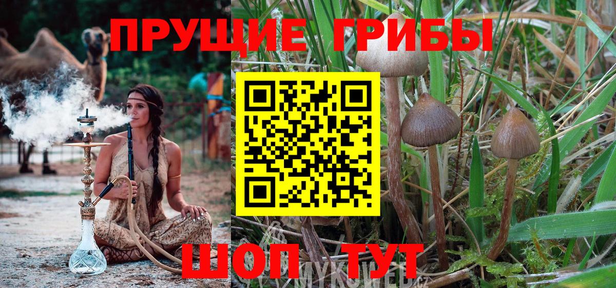Кострома  Псилоцибиновые грибы мухоморы  Вход с VPN  Псилоцибиновые грибы Cubensis 
